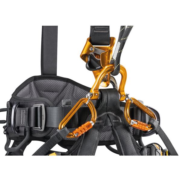 Petzl  Astro Bod Fast 