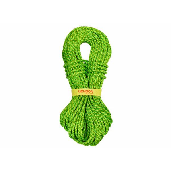 Tendon Ambition 9,8 mm dynamické lano