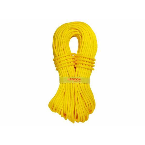 Tendon Ambition 9,8 mm dynamické lano