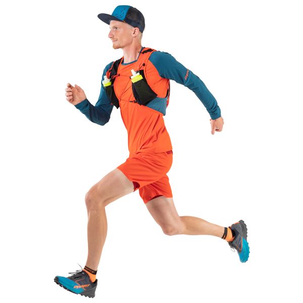 Dynafit Alpine Pro M 2/1 běžecké kraťasy