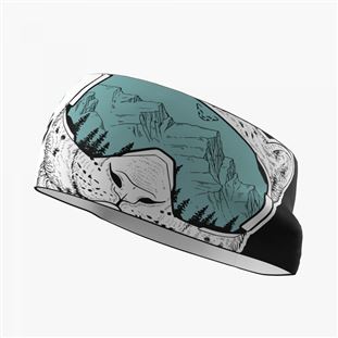 Levně Dynafit Snowleopard Headband, black out/snowleopard