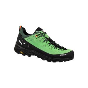 Salewa Alp Trainer 2 GTX